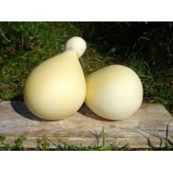 PROVOLA DEI NEBRODI- stagionata 3-6 mesi prezzo per KG