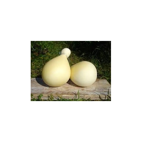 PROVOLA DEI NEBRODI- stagionata 3-6 mesi prezzo per KG